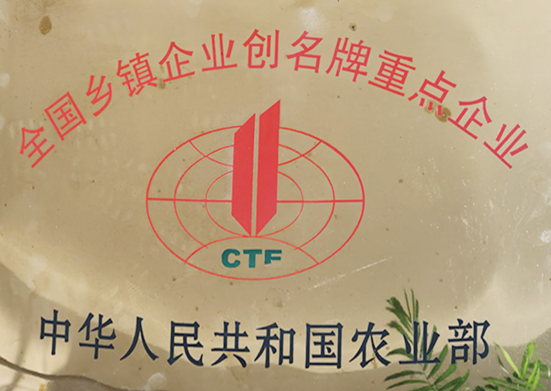 重點(diǎn)企業(yè)